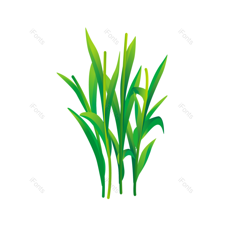 绿色图片,植物元素,PNG,免抠素材